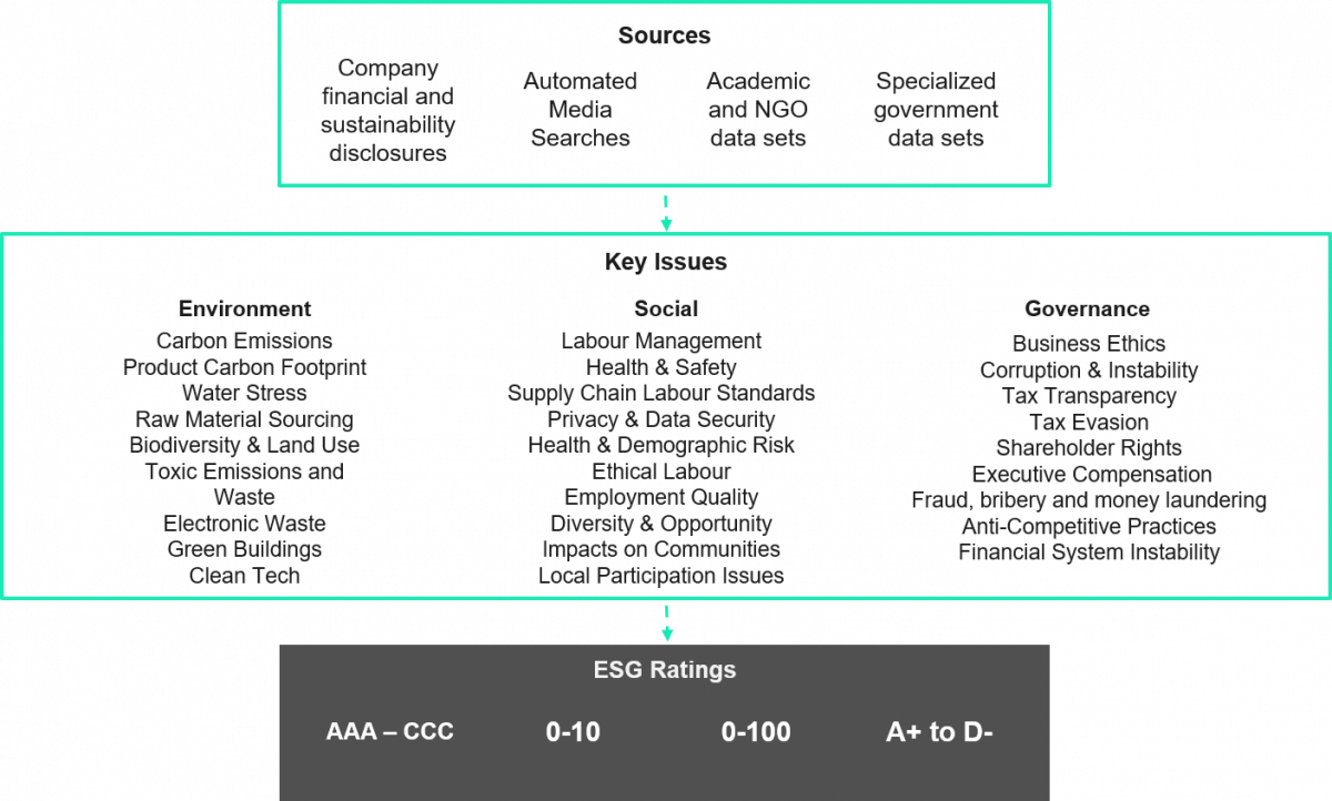 ESG Scoring Process